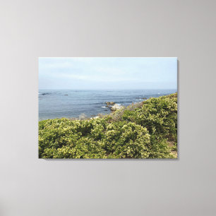 Kalifornische Leinwand: Asilomar Leinwanddruck