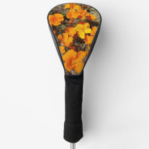 Kalifornische Mohnblumen