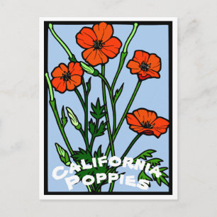 Kalifornische Mohnblumen Vintage Postkarte