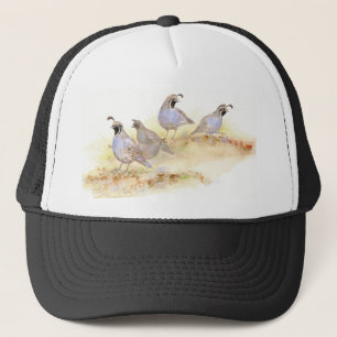 Kalifornische Wachteln, Vögel, Natur, Truckerkappe