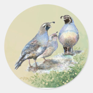 Kalifornische Wachtelvögel Aquarellkunst Runder Aufkleber