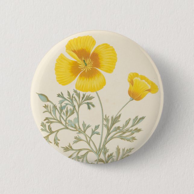 Kalifornischer Eschscholtzia Button (Vorderseite)