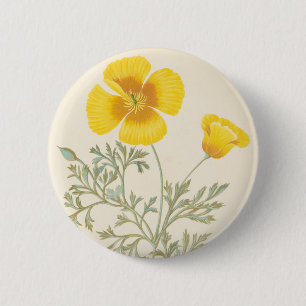Kalifornischer Eschscholtzia Button