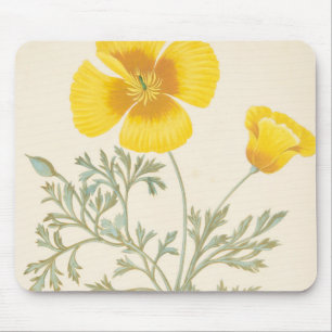 Kalifornischer Eschscholtzia Mousepad