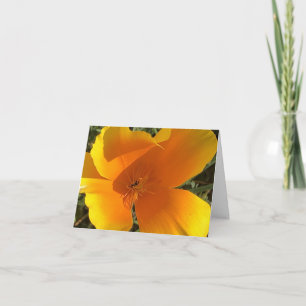 Kalifornischer Goldener Mohn - 2 Dankeskarte