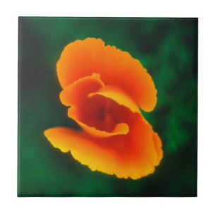 Kalifornischer Mohn Fliese