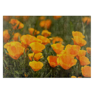 Kalifornischer Mohn, Montana de Oro State Park Schneidebrett