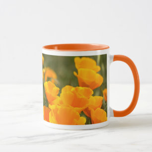 Kalifornischer Mohn, Montana de Oro State Park Tasse