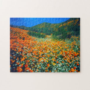Kalifornischer Mohn und Popcorn-Wildblumen
