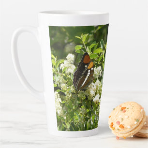 Kalifornischer Schwesterfalter in Yosemite Milchtasse