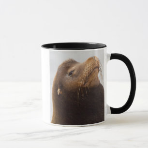 Kalifornischer Seelöwe Tasse