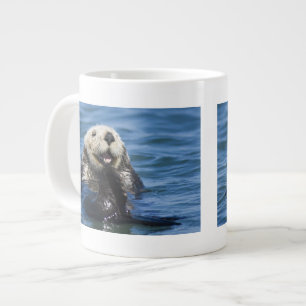 Kalifornischer Seeotter (Enhydra lutris) putzt sic Jumbo-Tasse