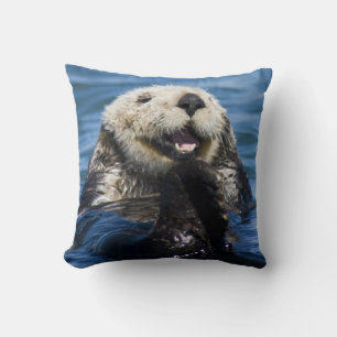 Kalifornischer Seeotter (Enhydra lutris) putzt sic Kissen