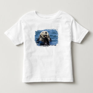 Kalifornischer Seeotter (Enhydra lutris) putzt sic Kleinkind T-shirt