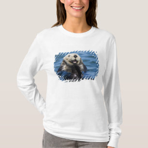 Kalifornischer Seeotter (Enhydra lutris) putzt sic T-Shirt