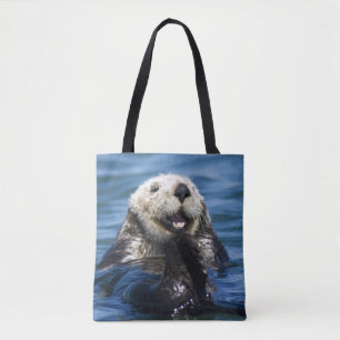 Kalifornischer Seeotter Enhydra lutris) putzt sich Tasche