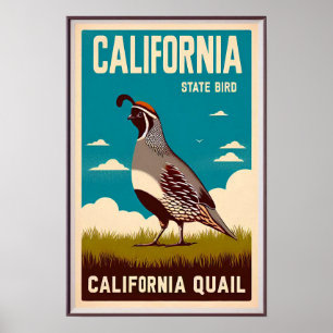 Kalifornischer Staatsvogel - Schuppenwachtel Vinta Poster