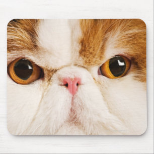 Kaliko-Harlekin-Perser Mousepad