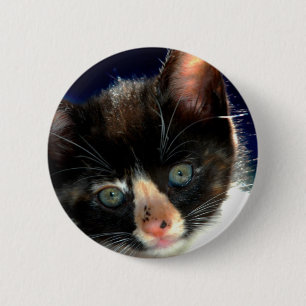 Kaliko-Kätzchen-Knopf Button