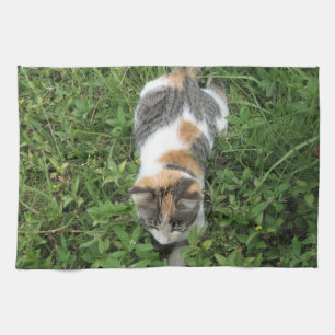 Kaliko-Katze Geschirrtuch
