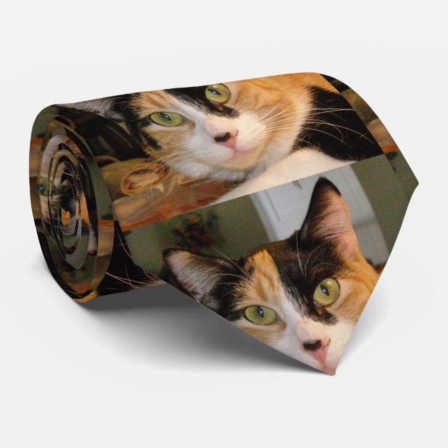 Kaliko-Katzen-Krawatte Krawatte (Gerollt)