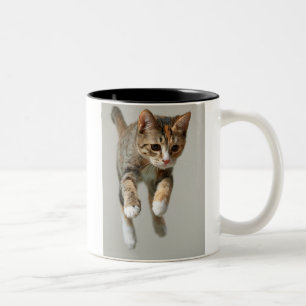 Kaliko-Katzen-Springen Zweifarbige Tasse