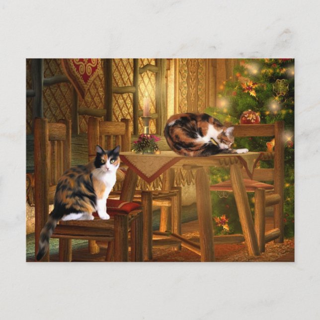 Kaliko-Miezekatze Weihnachten (Vorderseite)