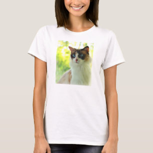 Kaliko Ragdoll Miezekatze T-Shirt