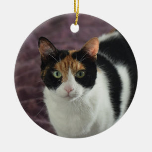 Kalikokatzenverzierung Keramik Ornament