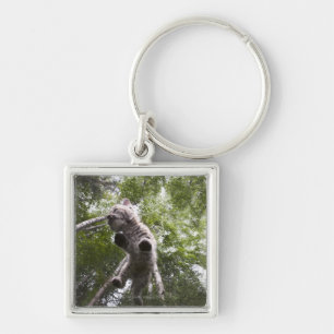 kalispell, Montana, USA Schlüsselanhänger