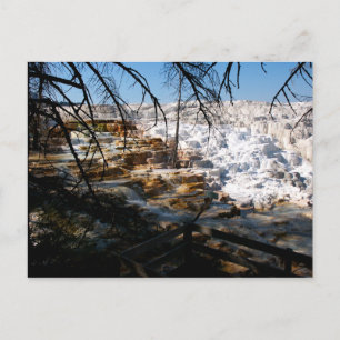 Kalksteinterrasse Mammov Hot Spring Yellowstone Postkarte