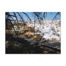 Kalksteinterrasse Mammov Hot Spring Yellowstone