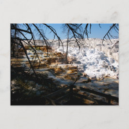 Kalksteinterrasse Mammov Hot Spring Yellowstone Postkarte