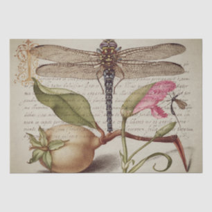 Kalligraphie (Dragonfly, Nelke & Birne) Gewebe  Seidenpapier