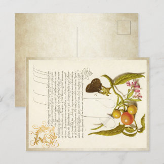 Kalligraphie vergoldete Vintage Pflanze Feiertagspostkarte