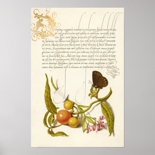 Kalligraphie vergoldete Vintage Pflanze Poster (Vorne)