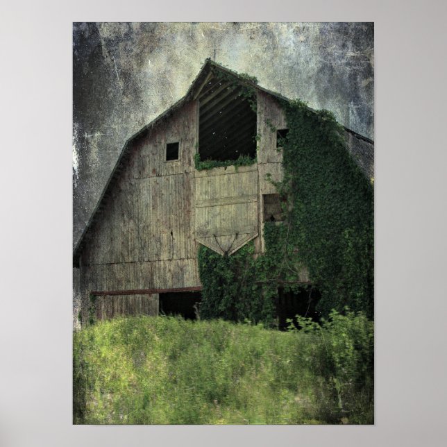 Kalona Barn und Ivy Poster (Vorne)