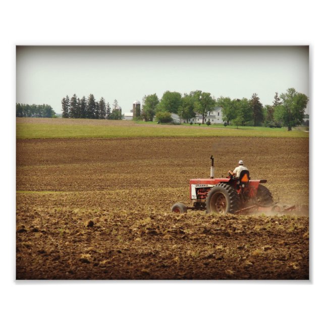 Kalona, Iowa-Feldarbeit Fotodruck (Vorne)