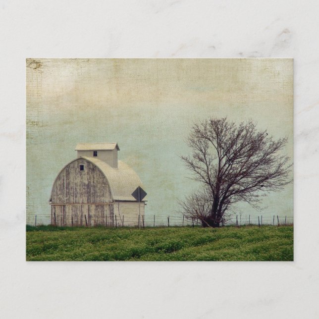 Kalona Iowa Felder und Stall mit Bäumen Postkarte (Vorderseite)