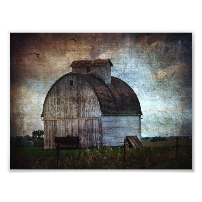 Kalona, Weißer Stall von Iowa mit Vögeln Fotodruck (Vorne)