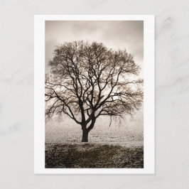 kalt und schön postkarte