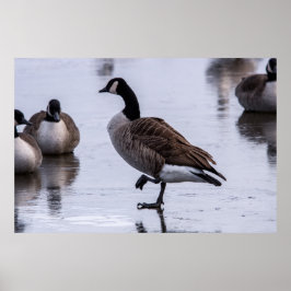 Kalte Füße Poster
