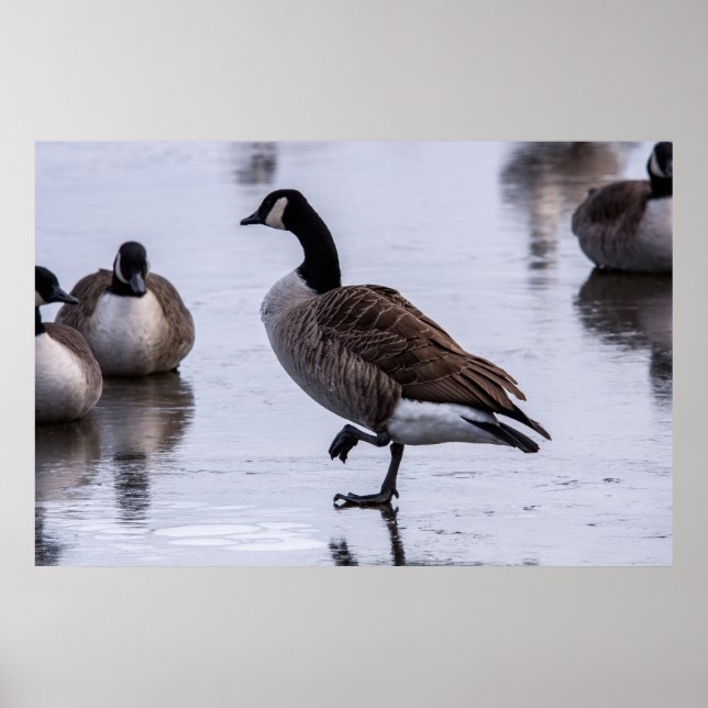 Kalte Füße Poster (Vorne)