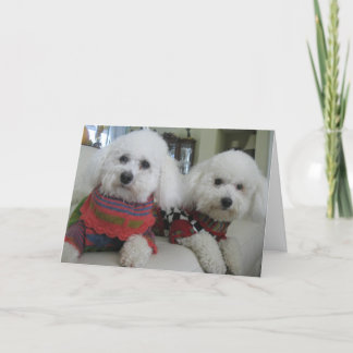 "Kalte Nasen, warme Herzen" - Grußkarte Feiertagskarte