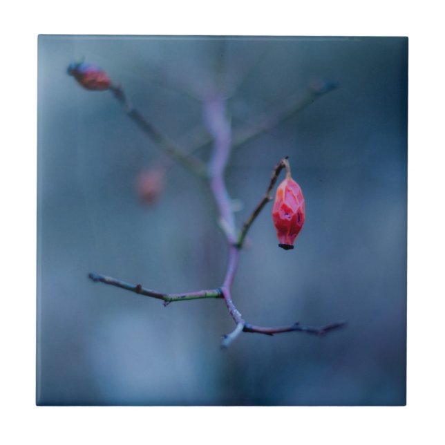 Kalte Rose Keramik Fliese (Vorderseite)