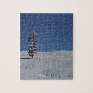 Kalte Winterlandschaft 4 Snowy