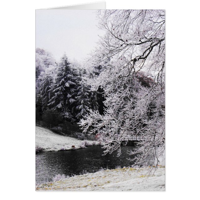 Kalter frostiger Morgen (Vorne)