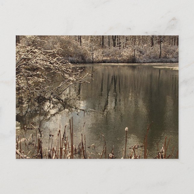 Kalter Teich mit Schnee Postkarte (Vorderseite)