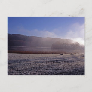 Kalter Wintermorgen Esthwai Water England Postkarte