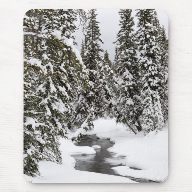 Kaltes Fluss-Fließen Yellowstone Mousepad (Vorne)
